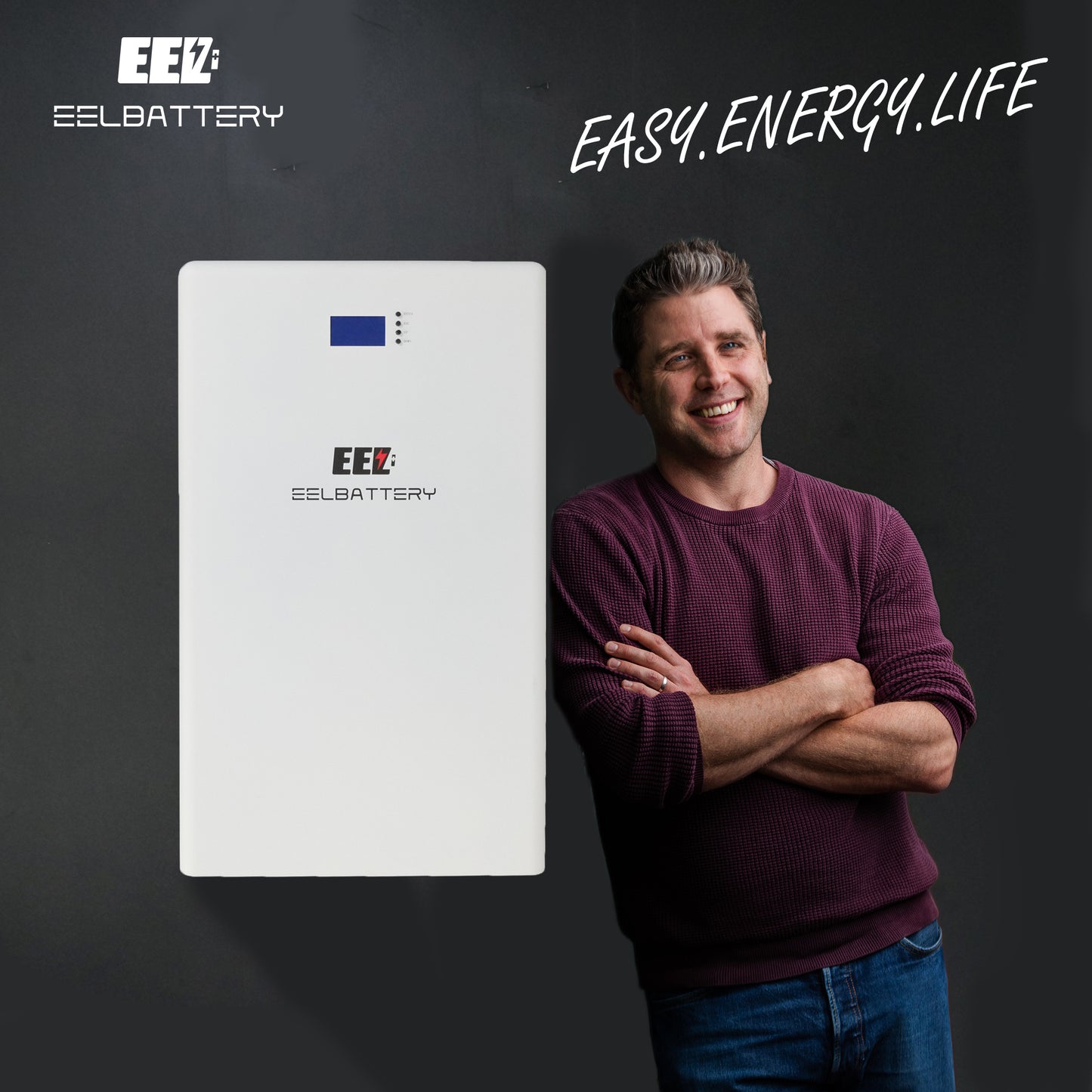 48V 16Kwh EEL Power Wall LiFePO4 Battery Pack Wall-mounted for Home Power Solar Energy Storage System EEL BATTERY