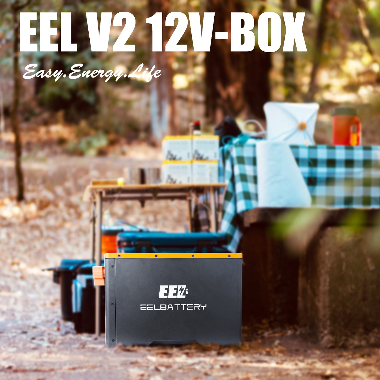 12V LiFePO4 Preassemble Battery V2 Pack with JK Bluetooth BMS Active Balance,for RV,EV,Off-Grid EEL BATTERY