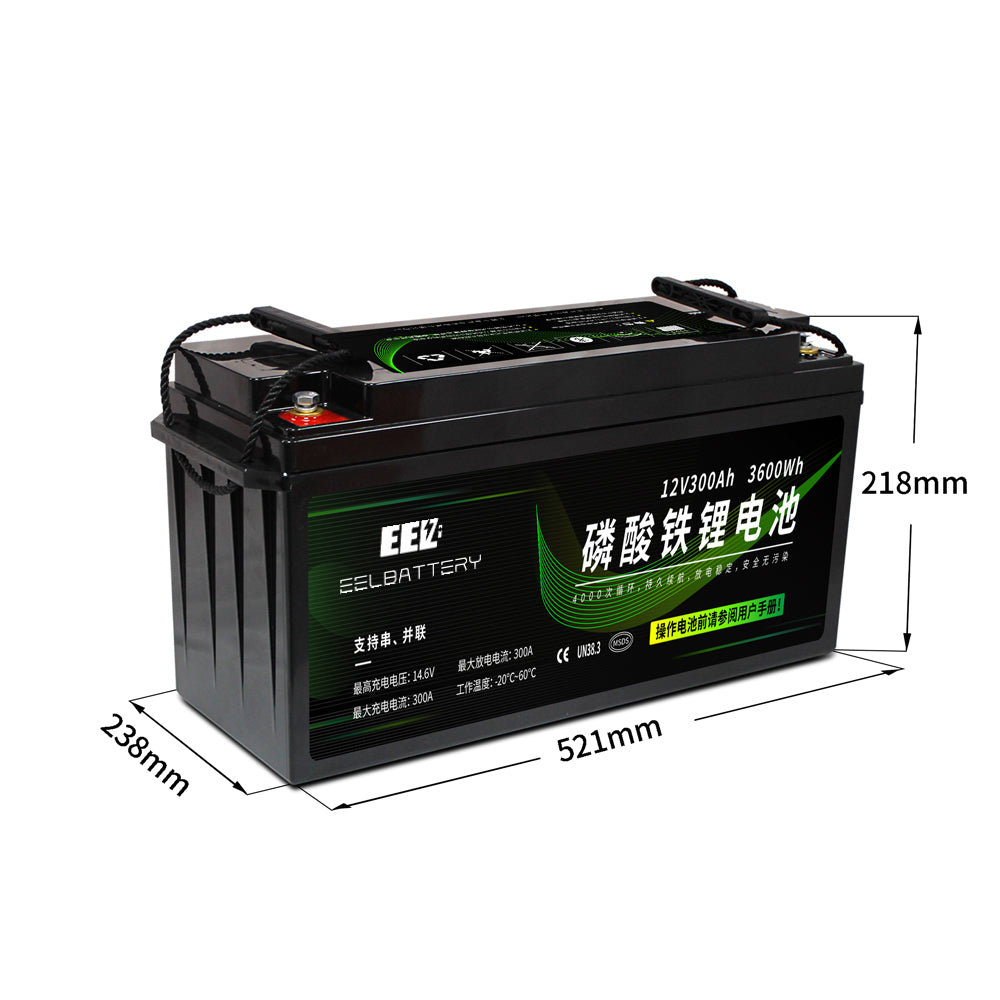 12V 70Ah 100Ah 200Ah 300Ah LiFePO4 Battery Pack Built-in Bluetooth BMS –  EEL BATTERY